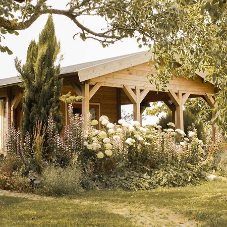 Chalet Ben In Broek Benningbroek ภายนอก รูปภาพ