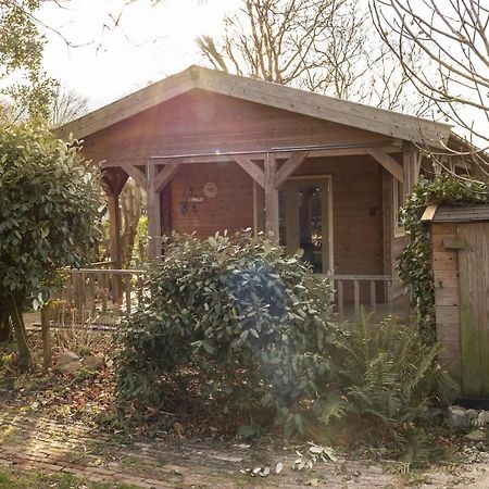 Chalet Ben In Broek Benningbroek ภายนอก รูปภาพ