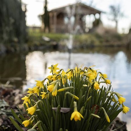 Chalet Ben In Broek Benningbroek ภายนอก รูปภาพ