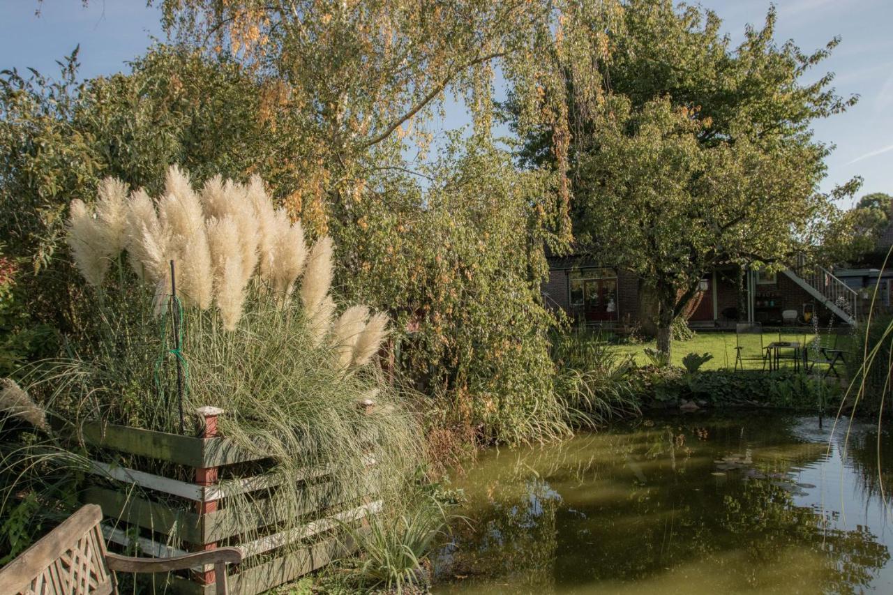 Chalet Ben In Broek Benningbroek ภายนอก รูปภาพ
