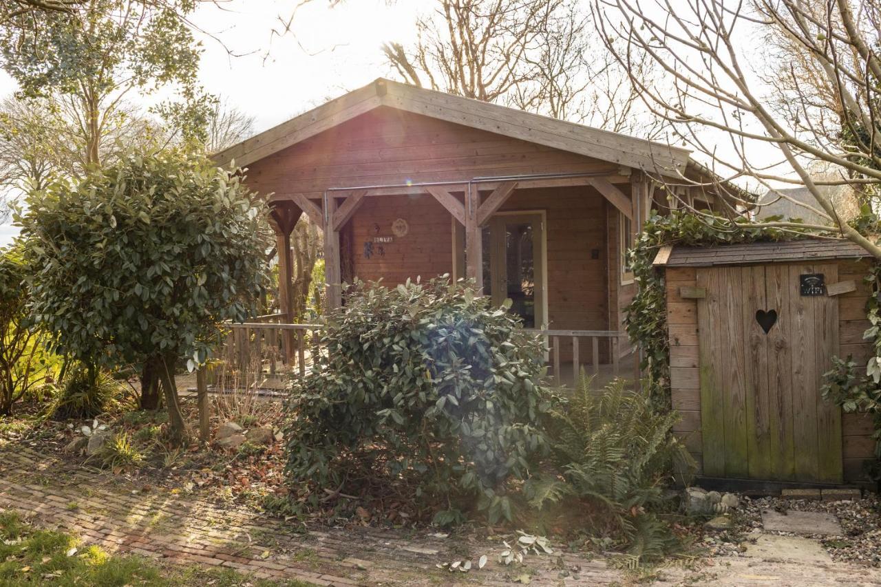 Chalet Ben In Broek Benningbroek ภายนอก รูปภาพ